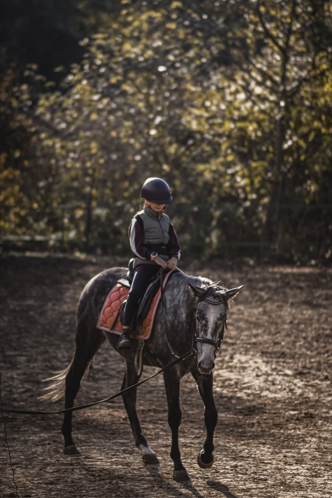 Lovas egy öszi picit ködös reggelen