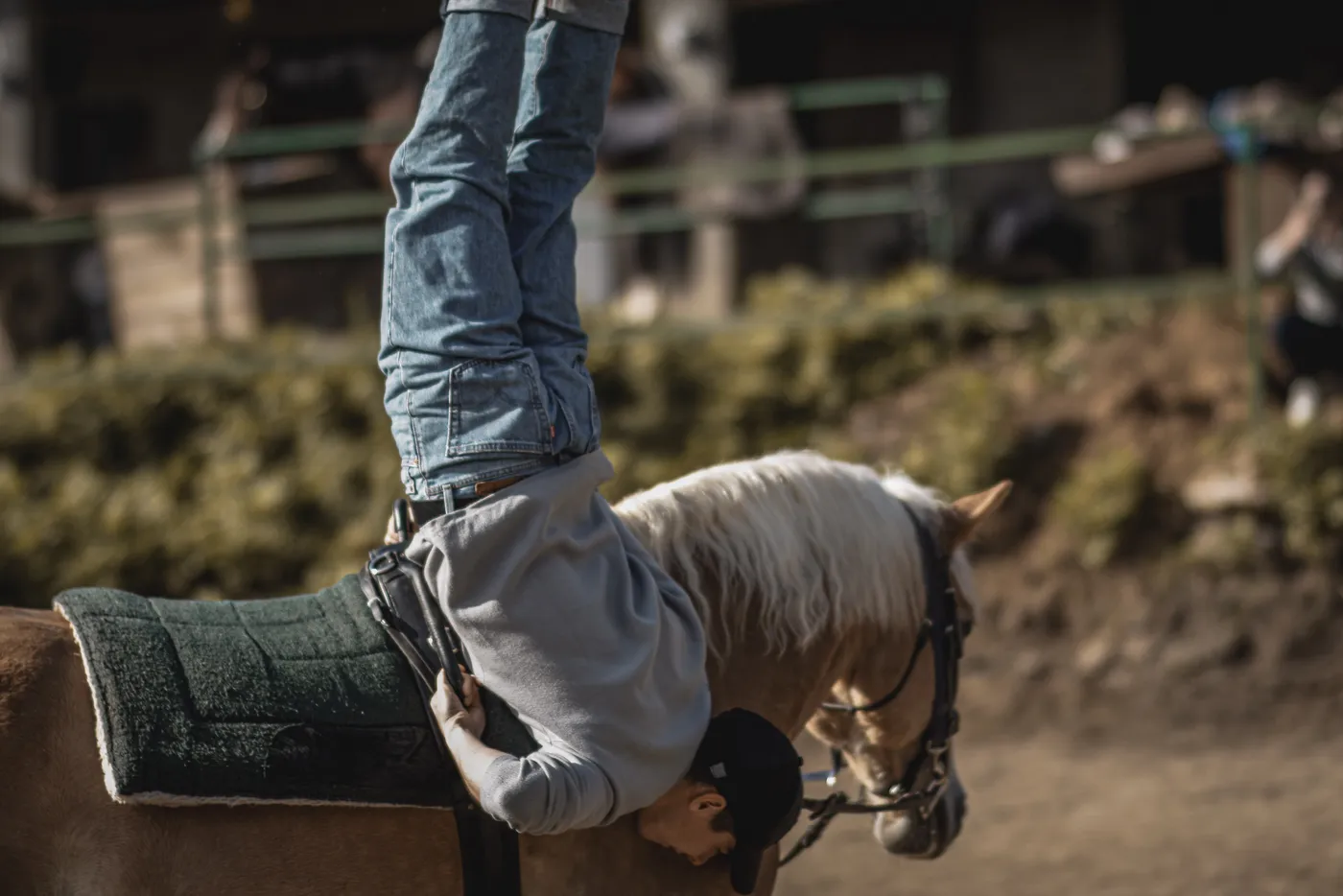 Lovas akrobatikai mutatvány, fejjel lefelé a lovon