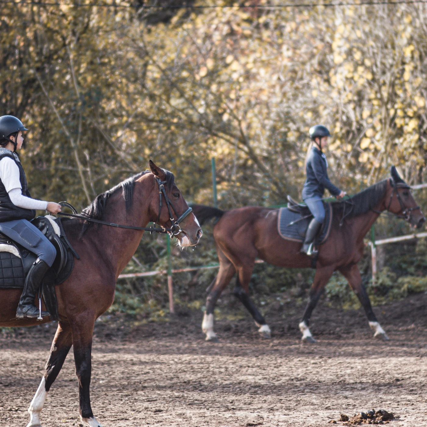 Két lovas egy képen