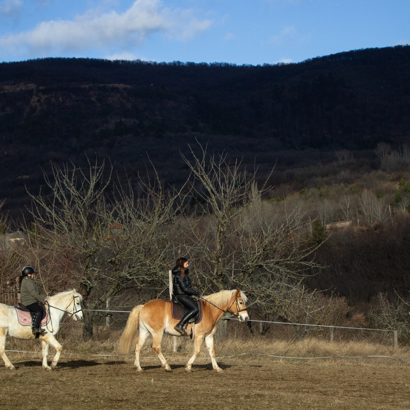 Világos lovon a hegyek előtt napfényben