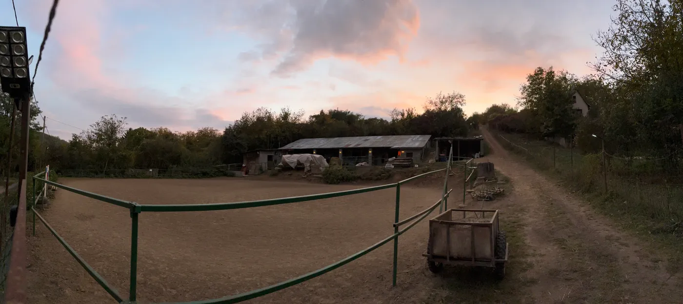 Lovarda a naplementében