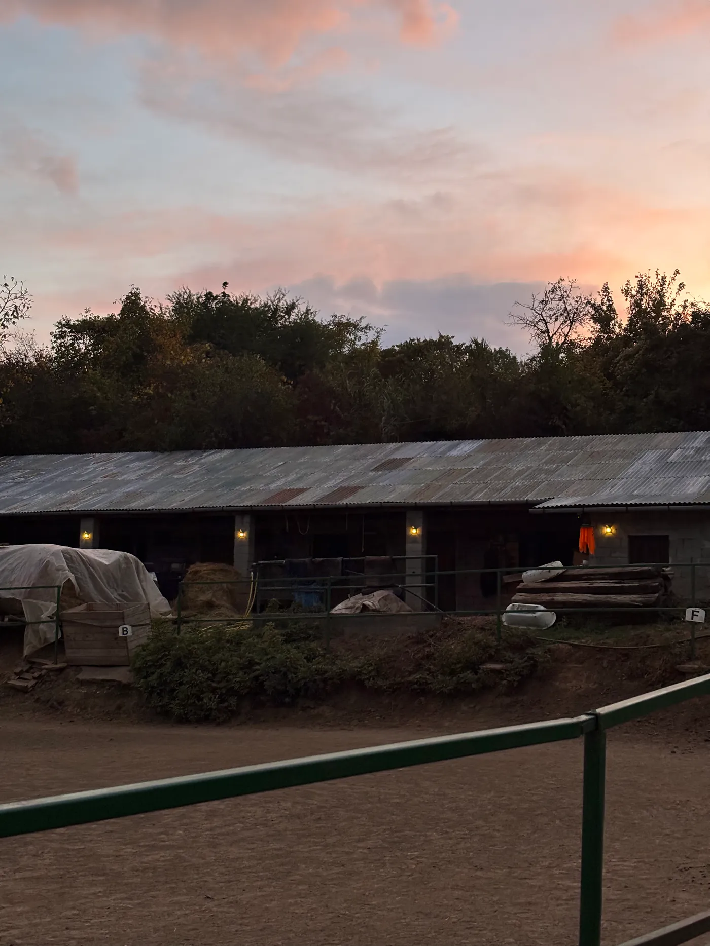 Lovarda a naplementében 2